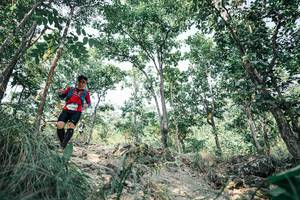 BIB: 
                            <button type="button" onclick="openModal(25976950)" class="btn btn-primary btn-sm float-right btn-popup" data-toggle="modal" data-target=".modal-high-quality">
                        <i class="fas fa-shopping-cart"></i> Add to Cart
                    </button>
                                            <button type="button" onclick="isThisMe(25976950, true)" class="btn btn-success btn-sm float-right btn-popup btn-isme hidden" data-toggle="tooltip" data-placement="bottom" title="นี่คือรูปของคุณใช่ไหม คลิกที่นี่เพื่อเอาเข้าอัลบั้ม">
                        <i class="fas fa-plus"></i> Add to album
                    </button>
                    <button type="button" onclick="isThisMe(25976950, false)" class="btn btn-warning btn-sm float-right btn-popup btn-isnotme hidden">
                        <i class="fas fa-ban"></i> Remove from album
                    </button>